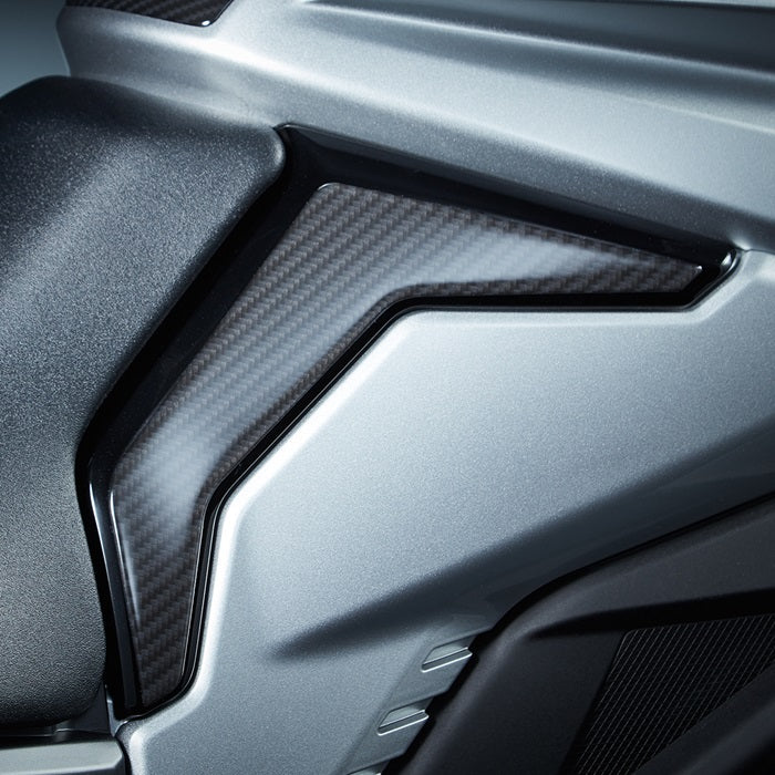 Suzuki Carbon Side Protection product image 2